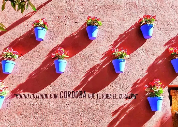 Apartamento Flor De Cordoba