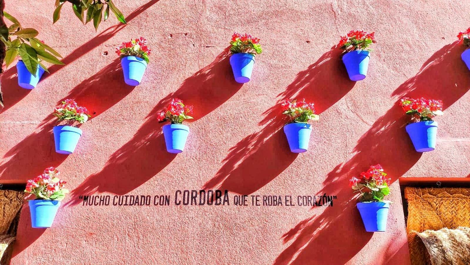 Flor De * Cordoba